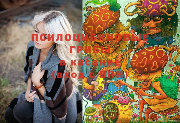 кокаин Краснослободск